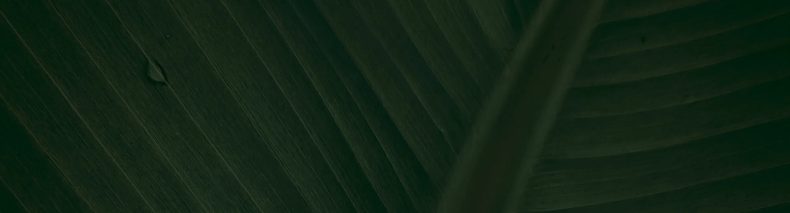 CREA TU TIENDA EN LINEA CON SHOPIFY